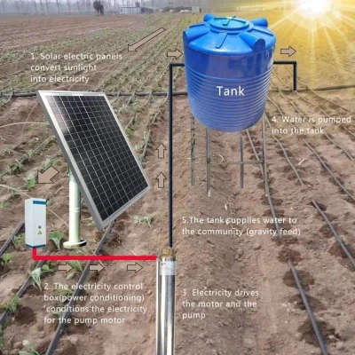 Ubunifu Green Solutions
